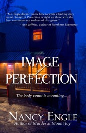 Image of Perfection cover